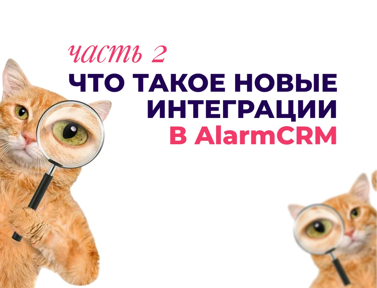 Как происходят новые интеграции в Флайск: этапы разработки - Часть 2