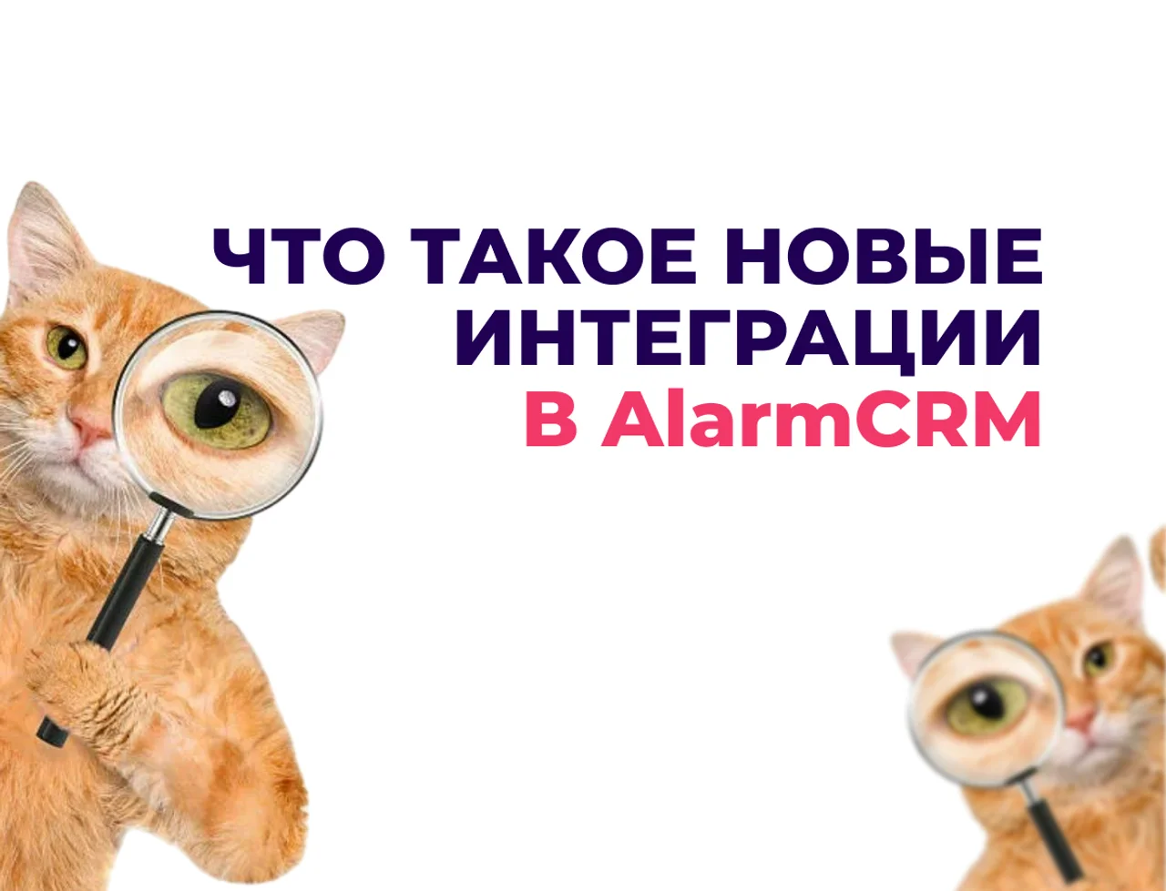 Что такое новые интеграции в Флайск: процесс, этапы и стоимость