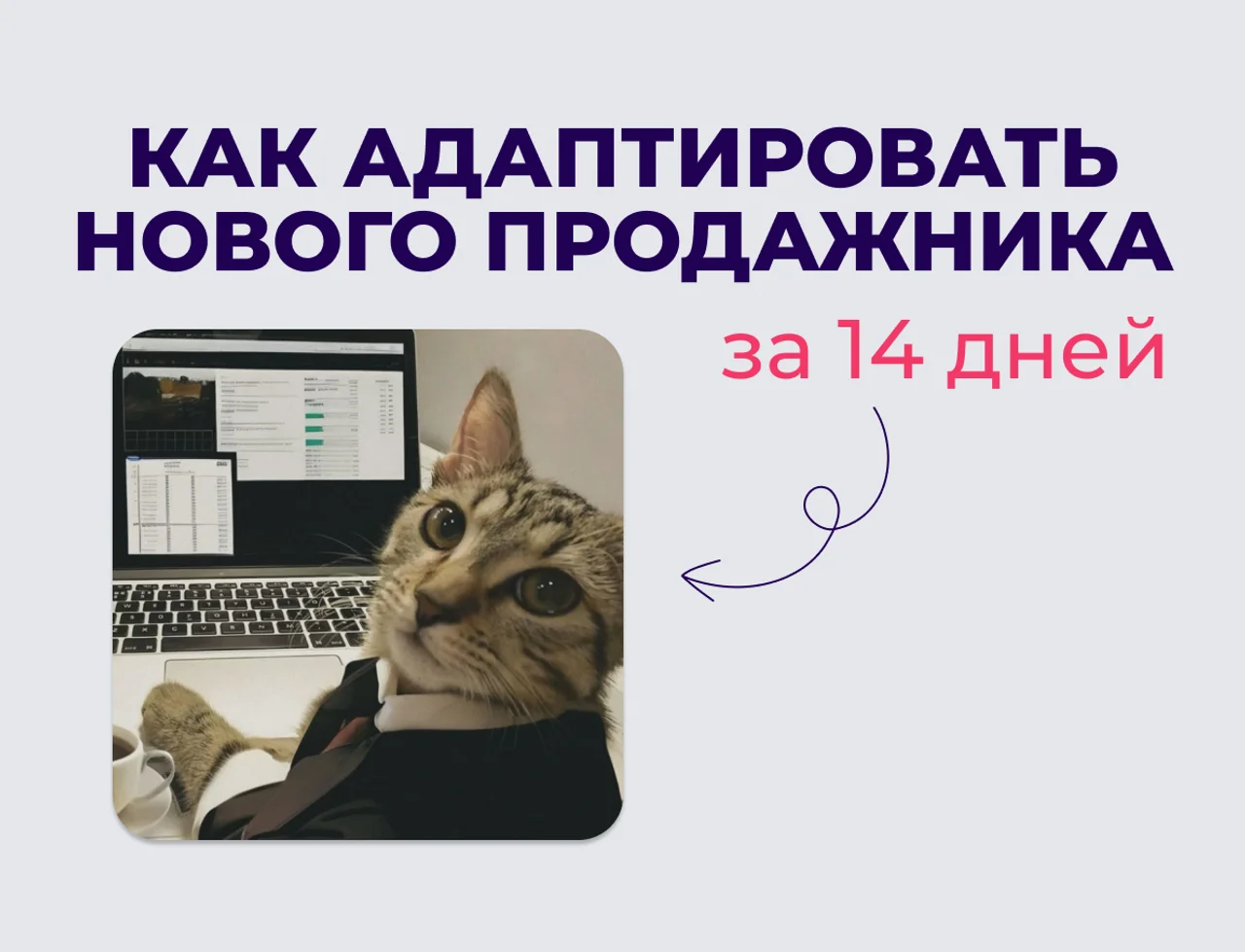 Как адаптировать нового продажника за 14 дней: пошаговый план для РОПа